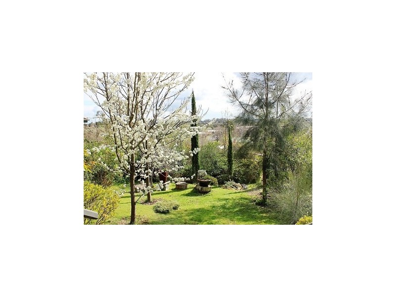 14 Andrew Street, Castlemaine VIC 3450