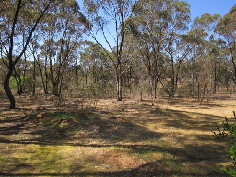 10 Sunrise Gully Road, Kangaroo Flat VIC 3555