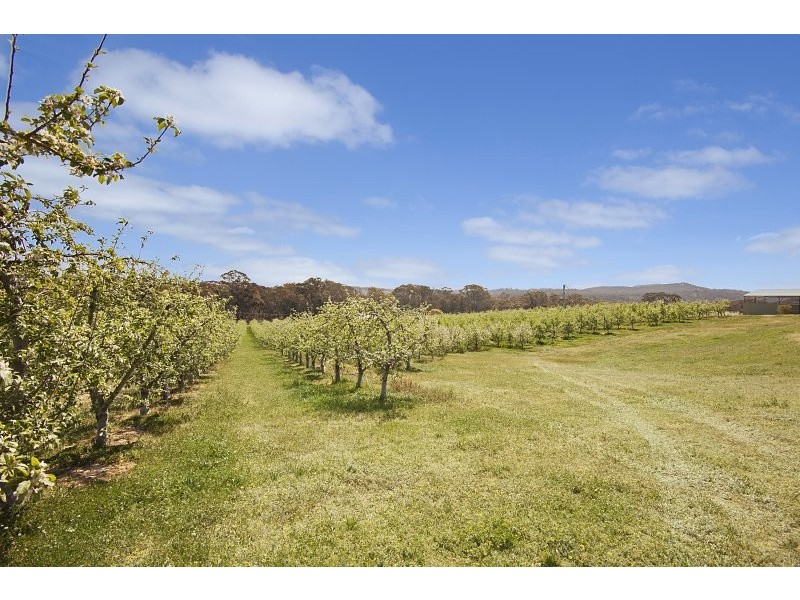 57 Peelers Road, Harcourt VIC 3453
