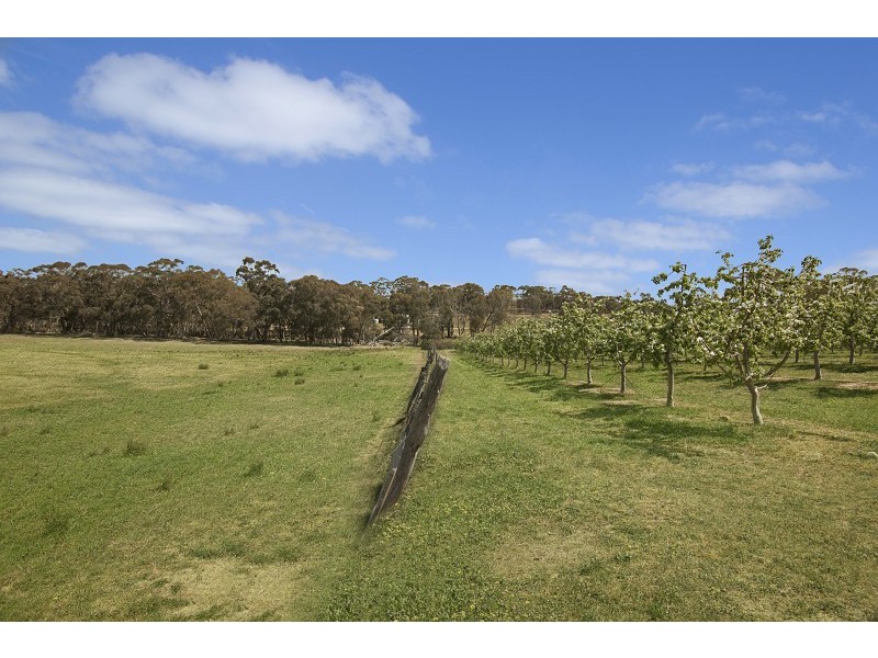 57 Peelers Road, Harcourt VIC 3453