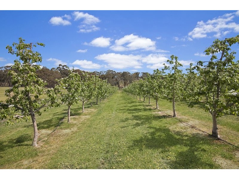 57 Peelers Road, Harcourt VIC 3453