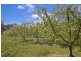 57 Peelers Road, Harcourt VIC 3453