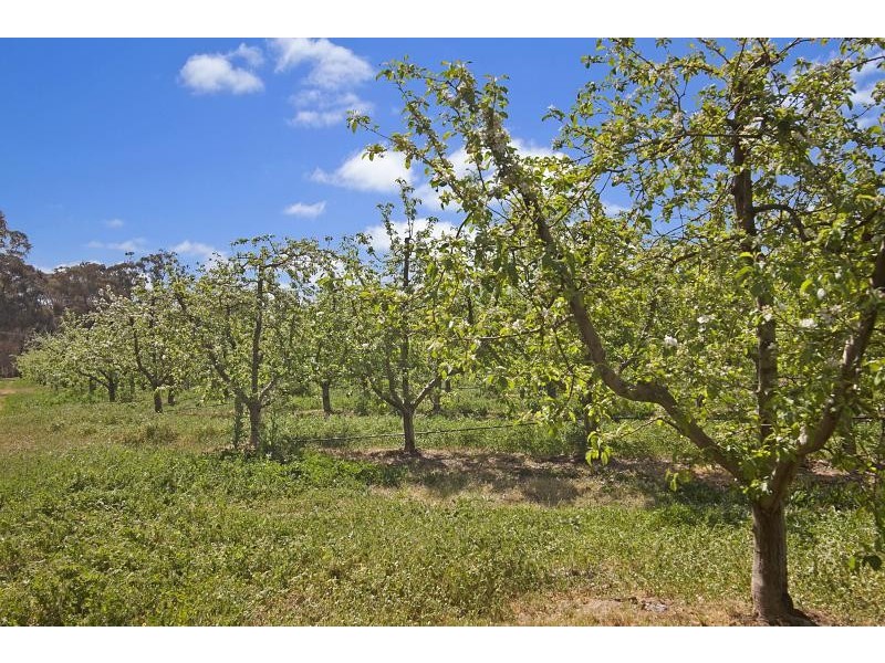 57 Peelers Road, Harcourt VIC 3453