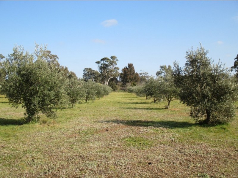 160 Grisold Road, Laanecoorie VIC 3463