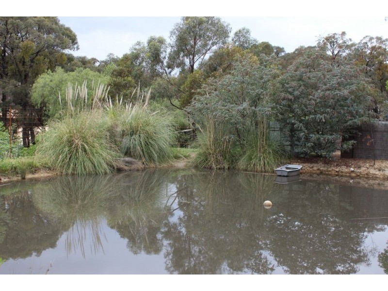 144 Golden Gully Road, Kangaroo Flat VIC 3555