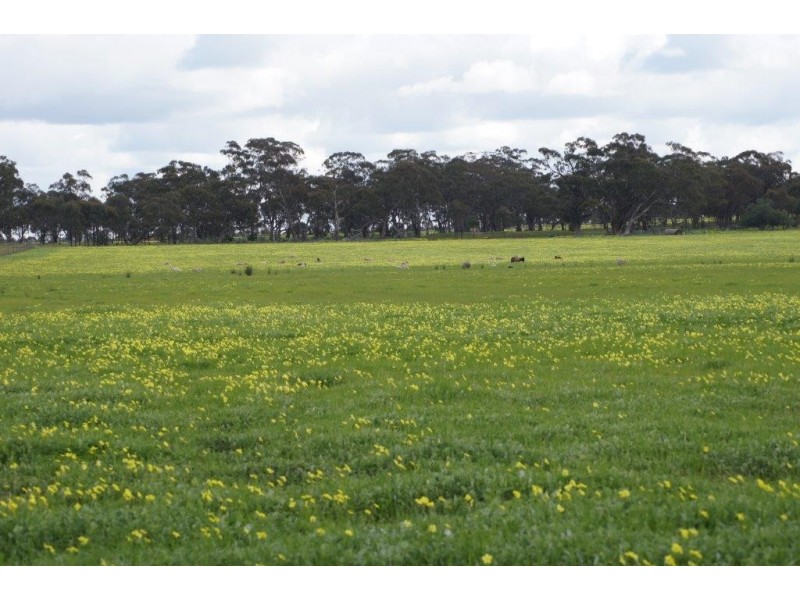 24 Jensens Road, Kamarooka VIC 3570