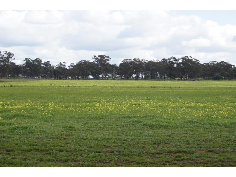 24 Jensens Road, Kamarooka VIC 3570