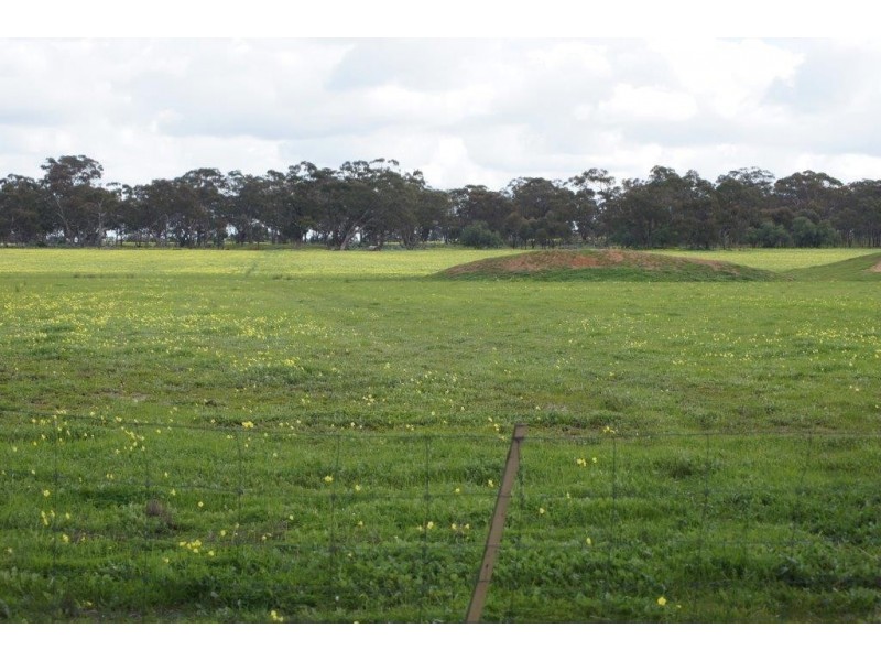 24 Jensens Road, Kamarooka VIC 3570