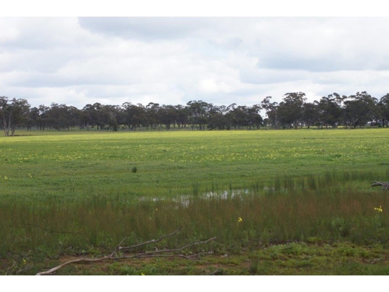 24 Jensens Road, Kamarooka VIC 3570