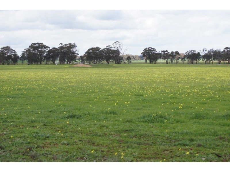 24 Jensens Road, Kamarooka VIC 3570