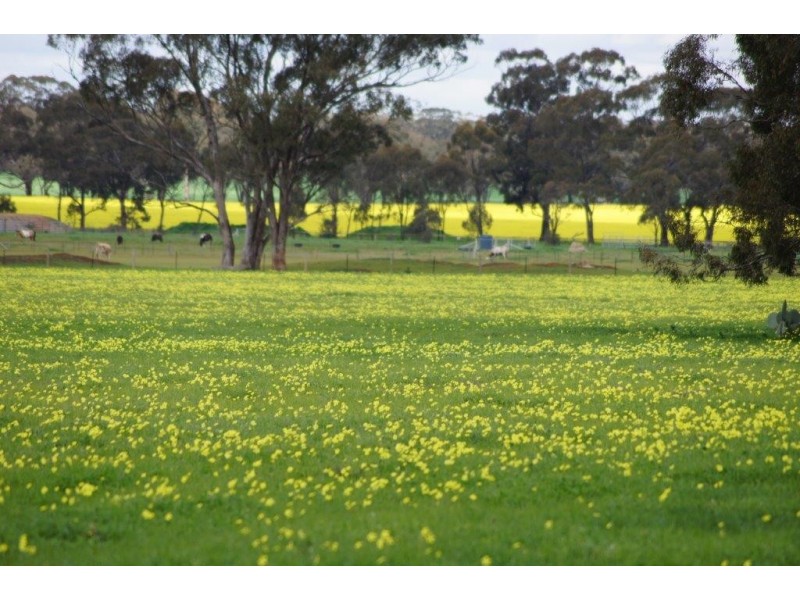 24 Jensens Road, Kamarooka VIC 3570