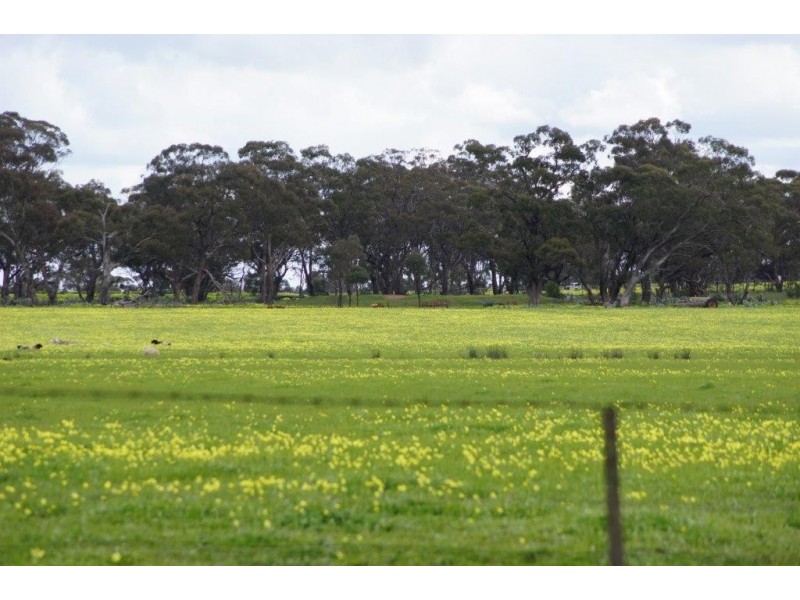 24 Jensens Road, Kamarooka VIC 3570