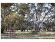 Lot 3 Barker Street, Harcourt VIC 3453