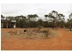 334 Scotts Lane, Wedderburn VIC 3518