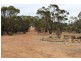 334 Scotts Lane, Wedderburn VIC 3518