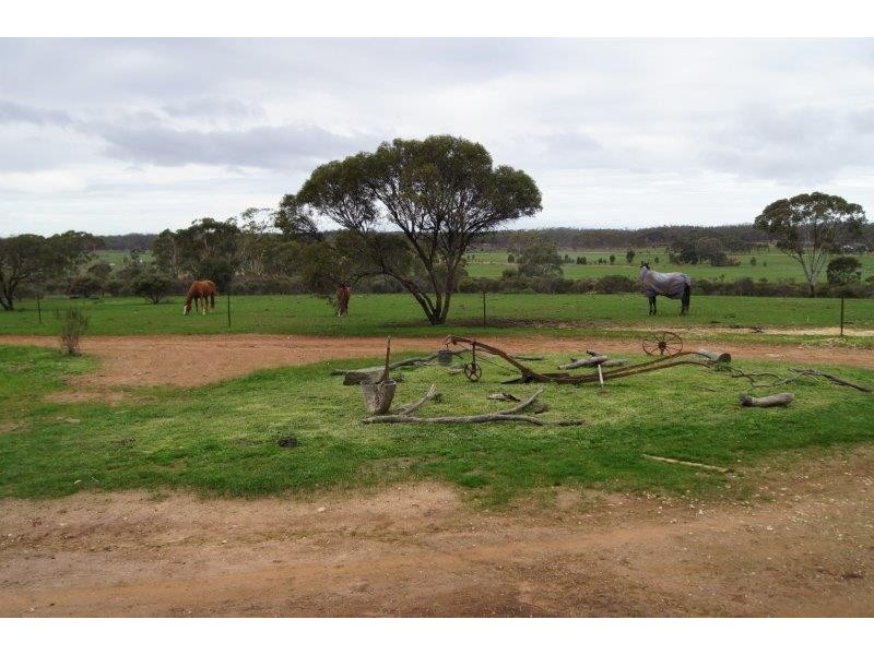 334 Scotts Lane, Wedderburn VIC 3518