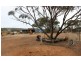 334 Scotts Lane, Wedderburn VIC 3518