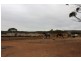 334 Scotts Lane, Wedderburn VIC 3518