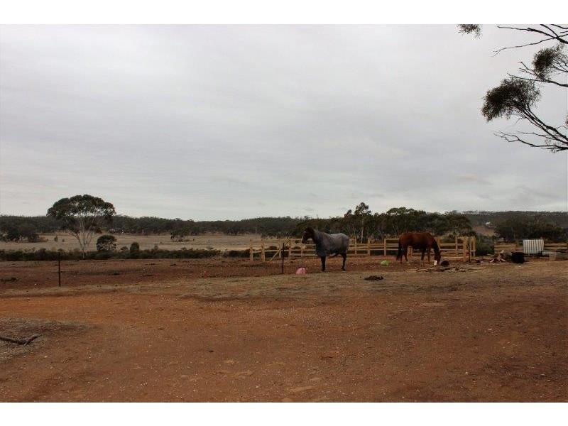 334 Scotts Lane, Wedderburn VIC 3518