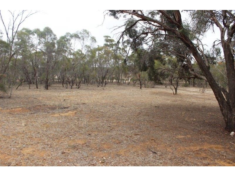 334 Scotts Lane, Wedderburn VIC 3518