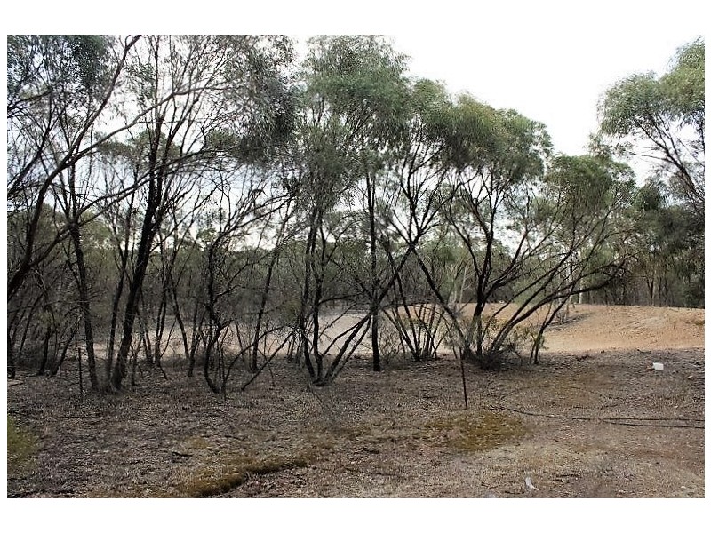 6840 Calder Highway, Wedderburn VIC 3518