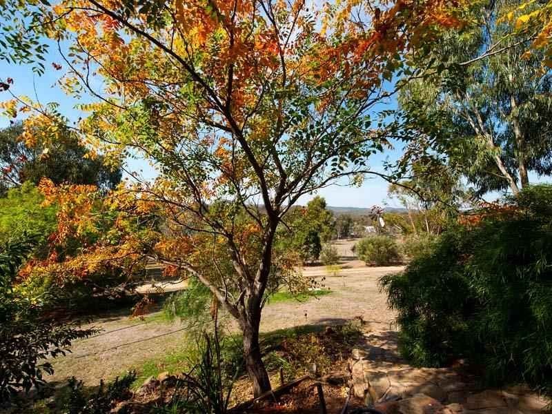 139 White Gum Road, Barkers Creek VIC 3451