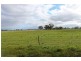Boort Kurting Road, Kurting VIC 3517