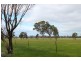 Boort Kurting Road, Kurting VIC 3517