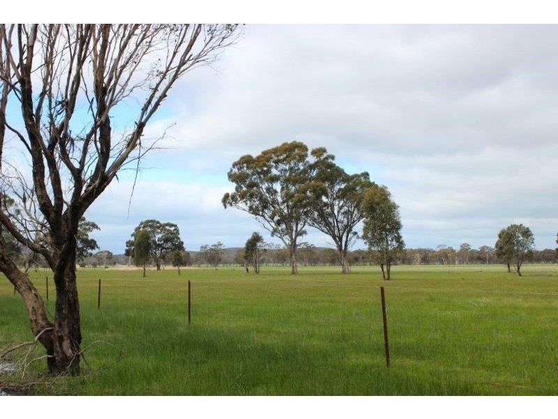 Boort Kurting Road, Kurting VIC 3517