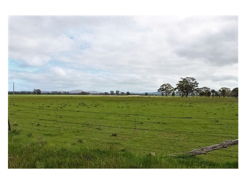 Boort Kurting Road, Kurting VIC 3517