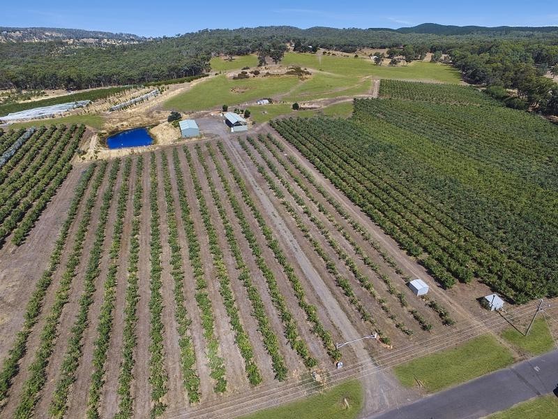 57 Peelers Road, Harcourt VIC 3453