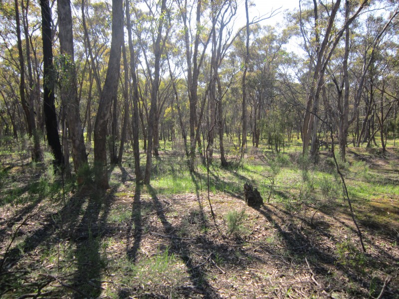 Lot 2/65 Hammill Street, Kangaroo Flat VIC 3555