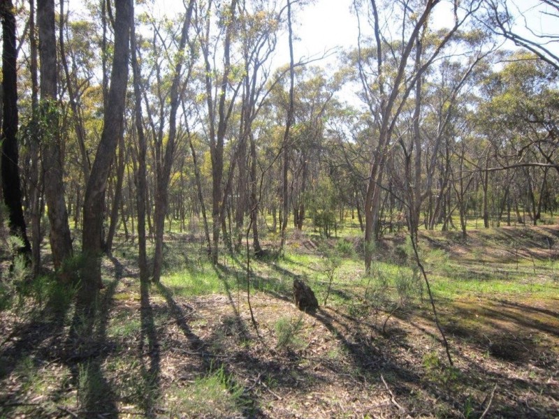 Lot 2/65 Hammill Street, Kangaroo Flat VIC 3555