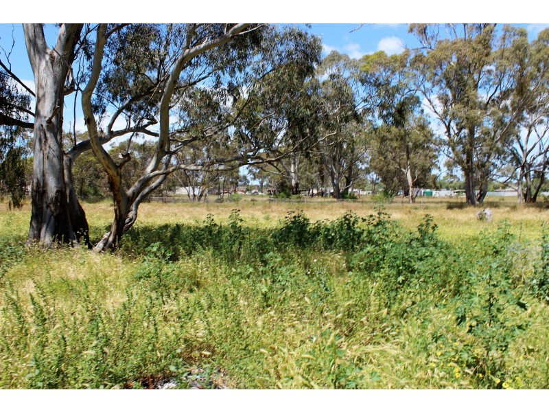 11 Inglewood Powlett Road, Inglewood VIC 3517