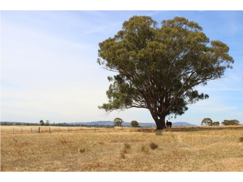 143 Douglas Road, Shelbourne VIC 3463