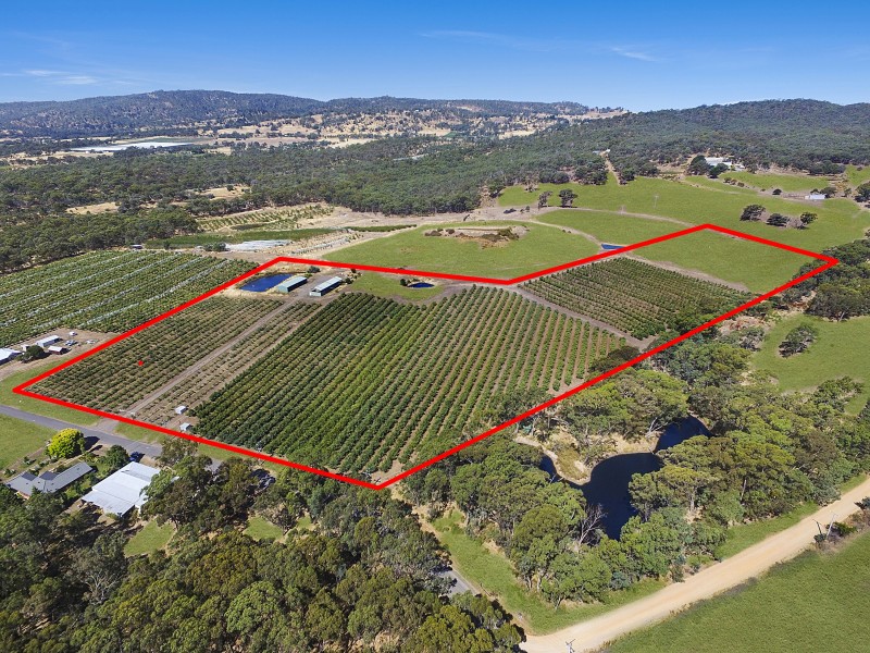 57 Peelers Road, Harcourt VIC 3453