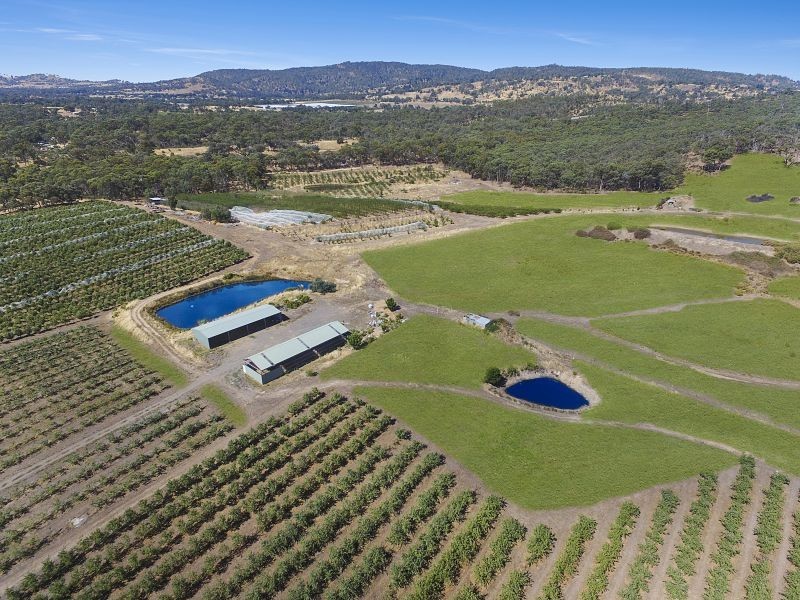 57 Peelers Road, Harcourt VIC 3453