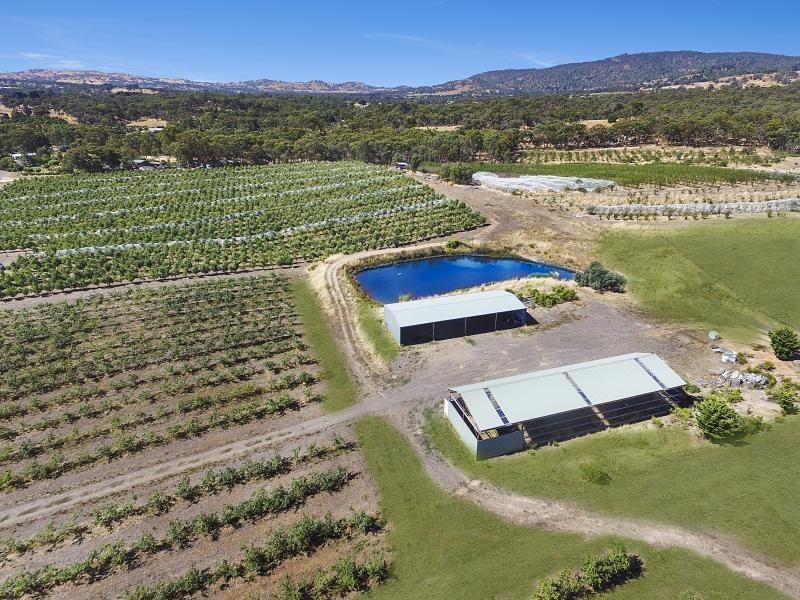 57 Peelers Road, Harcourt VIC 3453