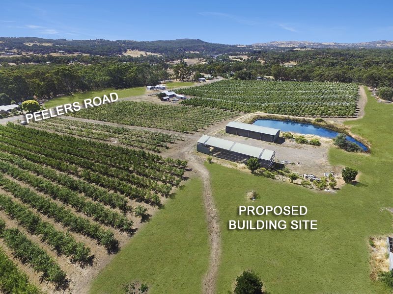 57 Peelers Road, Harcourt VIC 3453