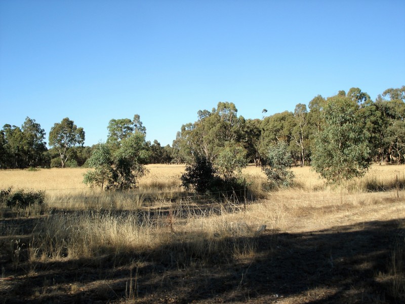Lot 29 Kooreh Road, Carapooee VIC 3478