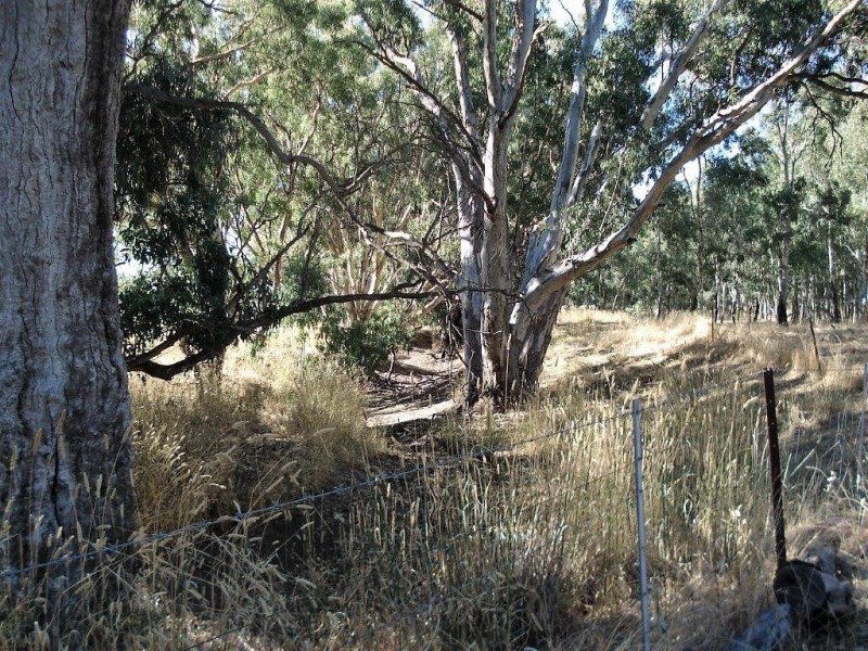 Lot 29 Kooreh Road, Carapooee VIC 3478