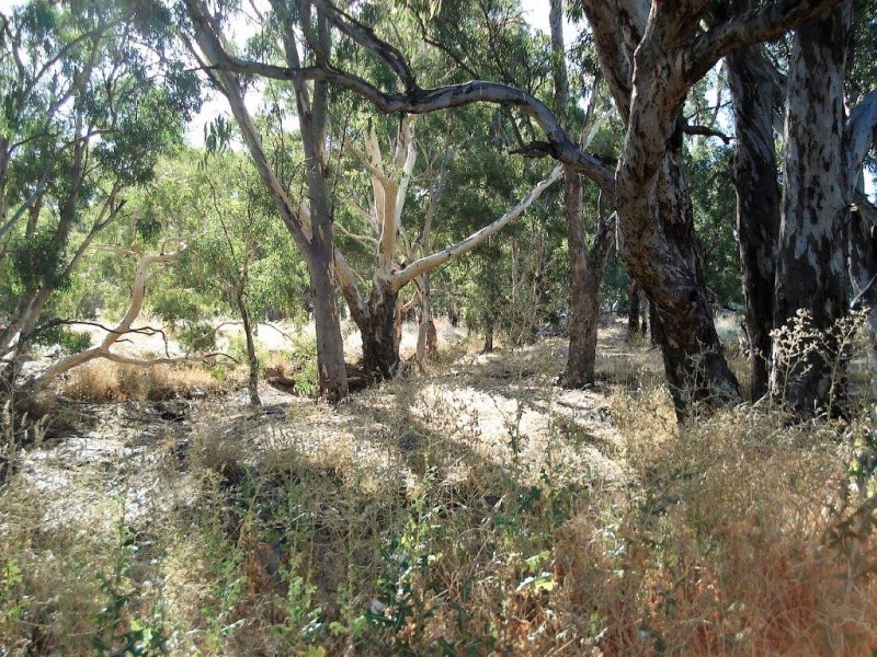 Lot 29 Kooreh Road, Carapooee VIC 3478