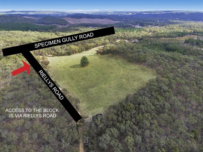 191 Specimen Gully Road, Barkers Creek VIC 3451