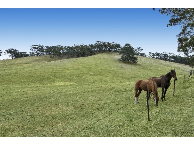 191 Specimen Gully Road, Barkers Creek VIC 3451