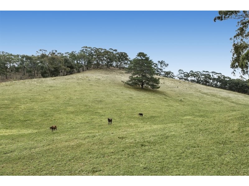 191 Specimen Gully Road, Barkers Creek VIC 3451