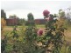 393 Humberts Road, Calivil VIC 3573
