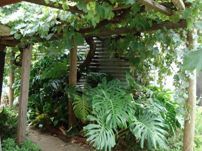 105 High Street, Charlton VIC 3525