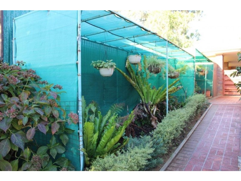 87 Harley Street, Strathdale VIC 3550