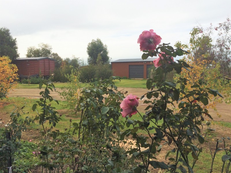 393 Humberts Road, Calivil VIC 3573