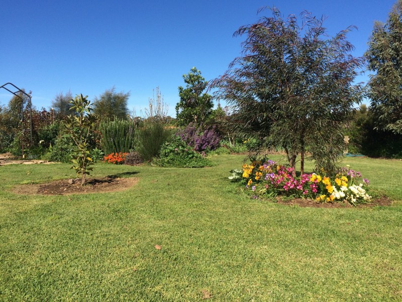 393 Humberts Road, Calivil VIC 3573